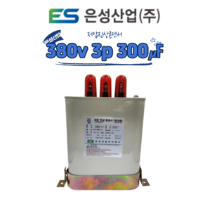 은성산업 저압진상콘덴서 380v 3상 300마이크로페럿, 1개