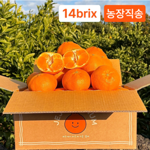 당도선별 제주 레드향 가정용 제주도직송, 1박스, 4.5kg (중과)