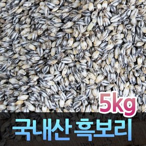 국내산 잡곡 흑보리쌀 검정보리 흑보리 5kg, 1개