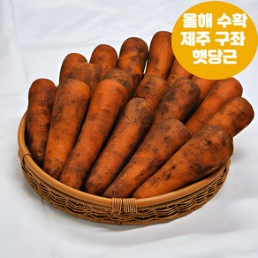 나눔농산물 프리미엄 제주도 구좌 흙당근 1kg 3kg 5kg