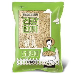 국산 발아현미 5kg 2024년산 대용량