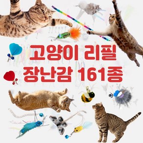 1분마켓 고양이 장난감 리필 161종 오로라 폼폼이 새 날개 깃털 필름 장난감 카샤 벌레 장난감 모음!, 141.아이리쉬, 1개