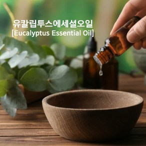 천연화장품 비누재료-유칼립투스 천연에센셜오일(Eucalyptus E..O), 10ml, 1개