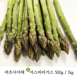 바르다야채 싱싱한 생 아스파라거스 500g 1kg (국내산), 1개