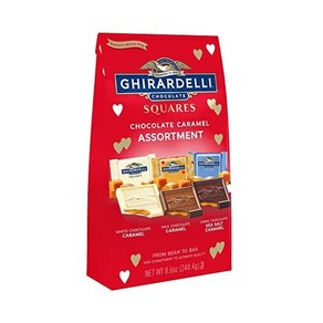 기라델리 기라델리 GHIRARDELLI 초콜릿 캐러멜 스퀘어 어쏘트먼트 초콜릿 스퀘어 fo 발렌타인 8.6 OZ 백 레드, 1개, 244.4g