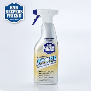 바키퍼스프렌드 스프레이+폼 클리너 750ml, 1개