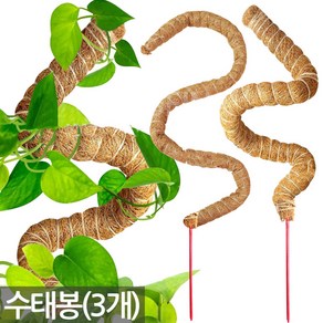 세인화분 구부러지는 코코넛 수태봉 3P - 코코봉 몬스테라 원하는 모양으로 넝쿨 식물 지지대 지주대 심지 덩쿨 화분갈이 분갈이 플랜테리어, 3개