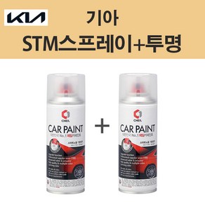 제일 기아 STM 새틴메탈 209 스프레이 + 투명제일 카페인트 자동차 차량용 셀프도색, STM 새틴메탈 스프레이(제일)+투명스프레이(제일), 1개