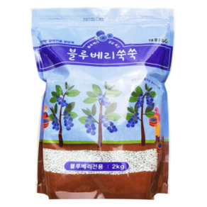 태흥 블루베리쑥쑥 2kg, 1kg, 1개