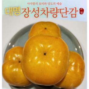 차량단감 아삭함과 달달함의 예술 특10KG 5KG 단감의고장 장성 청정지역 대명농원