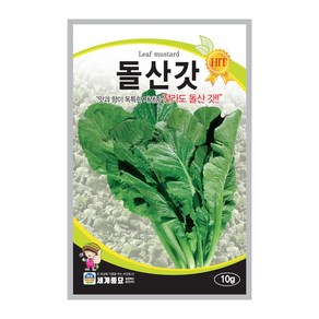 돌산갓 씨앗 Leaf Mustard seed 갓 김장 잎 채소 종자