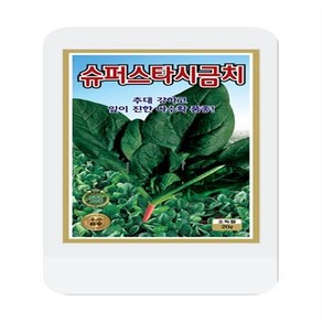 슈퍼스타시금치씨 20g 시금치 씨앗 대장 KS종묘, 1개