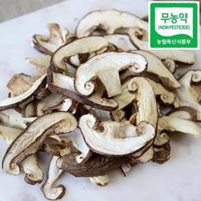 광헌팜 생표고버섯 1kg/2kg/4kg, 건표고버섯 100g, 1개