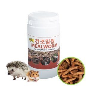 SSP 슈퍼건조밀웜 50g 새간식 고슴도치 거북이 햄스터, 1개