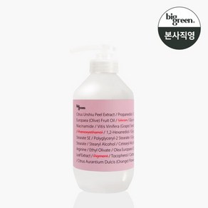 빅그린 임산부 로션 500ml, 1개