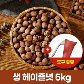 2024년 개암 깸 깨금 쩐즈 헤이즐넛 (생) 5kg 도구증정