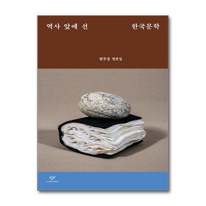 역사 앞에 선 한국문학 / 창비