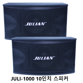 금영태진노래방스피커 JULI-1000 10인치스피커 헬스장 행사장 매장 강의장 1조-2개