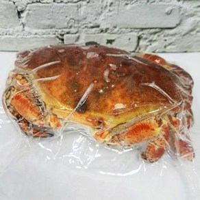 (배터짐) 자숙 브라운크랩 알크랩 꽃게 (일요일&당일발송), 2개, 500g