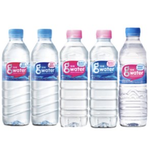 가야워터 500ml x 20펫