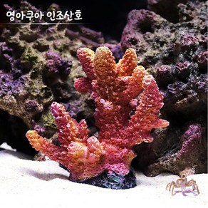 신바람 영아쿠아 인조산호 코랄 YA1719, 1개