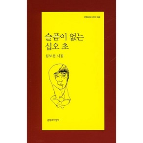 슬픔이 없는 십오 초:심보선 시집