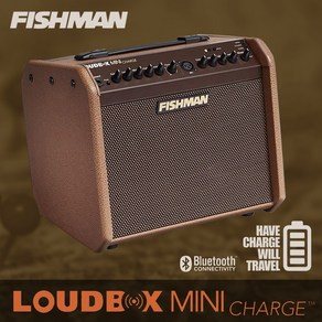 Fishman LOUDBOX MINI CHARGE 어쿠스틱 앰프 블루투스 충전 기능, 1개