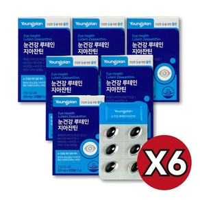 영진약품 영플랜 눈건강 루테인 지아잔틴 15g, 6개, 30정