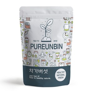 푸른빈 차가버섯 러시아산 원물 특품, 1개, 300g