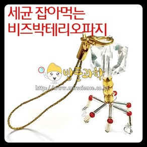(ART)박테리오파지(10인용)/KSIC-0254