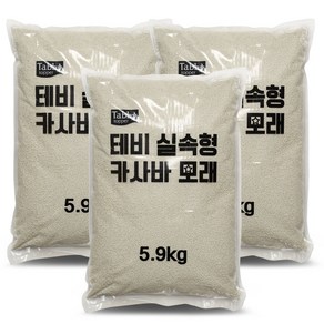 테비 실속형 카사바 모래 5.9kg x 3개