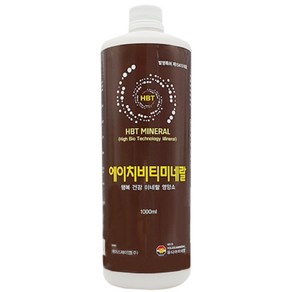 에이스제이엠 에이치비티미네랄 미네랄 음료 기능성 건강 음료 HBT미네랄 워터, 1000ml, 1개