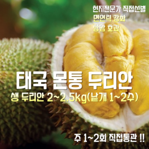 [항공직송] 태국 몬통 생두리안 고당도 2~2.5kg 낱개 1~2수, 1박스, 몬통 생두리안 2~2.5kg 낱개 1~2수