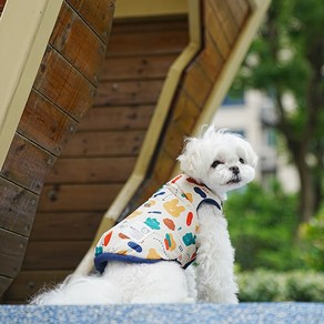 멍냥부띠크 강아지 겨울옷 산책용 스마일 양면 패딩조끼