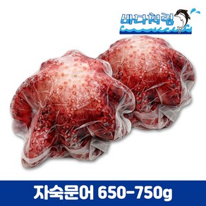 자숙문어 650/750g 필리핀 제수용 문어숙회 삶은문어, 1개