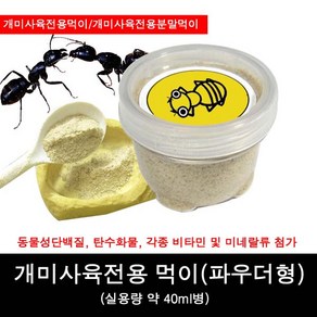 개미사육전용먹이/개미먹이파우더형/개미전용분말먹이, 1개