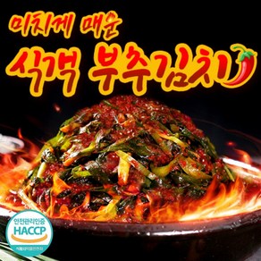 식객 미치게 매운 부추김치 1kg 2kg 전라도 여수 50년전통 부추무침 실비김치 당일생산, 1개