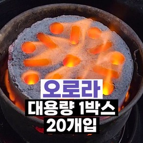 [에코카보닝 대용량 20개입 오로라] 캠핑용 바베큐 구이용 야자숯 대용량 오로라 1박스 20개세트, 20개