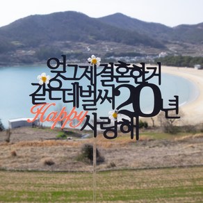 스프링데일 결혼 기념일 20주년 여행 부부 토퍼