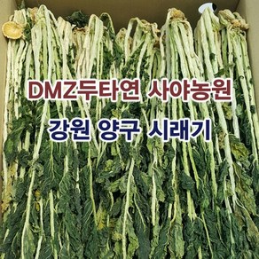 강원도 양구 두타연 건시래기 무청시래기 건나물, 1박스, 시래기 1kg