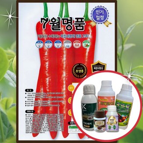 2025년 7월명품 1200립 조생종 고추씨앗 보통매운맛 해성씨드플러스, 1개, 500ml