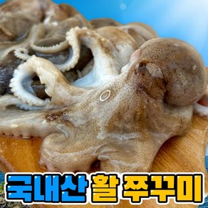 [산지직송] 새벽조업 쭈꾸미 제철 서해안 봄 활 생물 알 국내산, 활 쭈꾸미 1kg, 1개