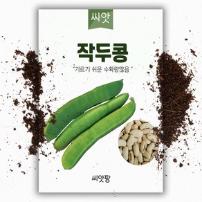 백 작두콩 씨앗 (10립)