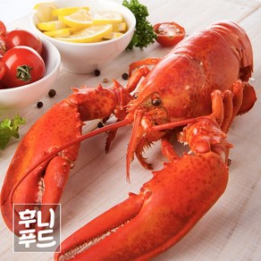 랍스타 캐나다 활랍스타 자숙급냉 1마리 400g~ 450g 버터 치즈구이, 1개