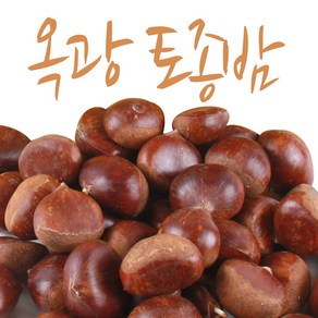 [2024년 수확한 햇밤] 토실토실 맛있는 옥광 토종밤