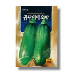 애호박 씨앗 종자 곱단이애호박 30립, 1개