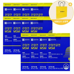 종근당건강 관절연골엔 MSM + 쇼핑백, 60정, 900mg, 12개