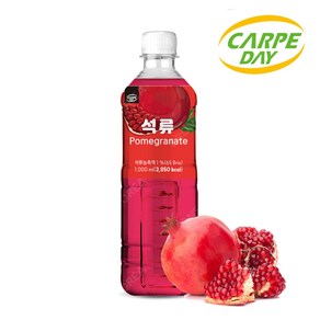 까르페 석류 차 1000ml 1개 액상 과일 음료 아이스티 원액, 1L