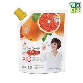 꽃샘 별난알맹이 자몽 파우치 500g, 1개