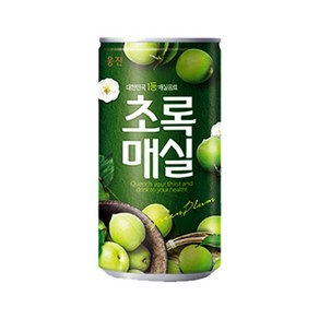 웅진 초록매실 180ml